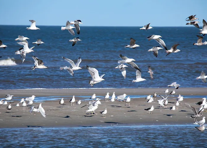 公寓 Appartementhaus Bracht - Wattlooker 于斯德